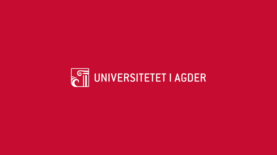 IPPA - University of Agder, Norway - Job Opportunity